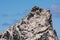 Cormorants Colony on rock in Antarctic Sea