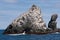 Cormorants Colony on rock in Antarctic Sea