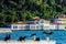 Cormorants enjoying the sun by the Bosphorus of Istanbul, Turkey