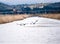 Cormorants while fishing in a canal of a natural oasis