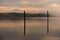 Cormorants and Mt. Baker