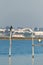 cormorants on perches in marsh