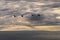 Cormorants Phalacrocorax carbo flying against the dramatic cloudy sky.