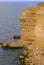Cormorants rest on a steep bank of Pontic limestone in eastern Crimea