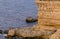 Cormorants rest on a steep bank of Pontic limestone in eastern Crimea