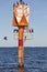 Cormorants on a sea lighthouse. Wild animals. Baltic sea