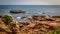 Cormorants and seagulls resting