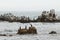 Cormorants and seagulls on the sea rocks.