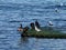 Cormorants and seagulls on a small island in the sea