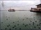 Cormorants, seagulls, urban ferry of Istanbul