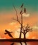 Cormorants are seen roosting in a bare tree at sunset as another cormorant flies by looking for a roosting spot