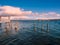 Cormorants sit on the piles near fishing pier in Sidney, Vancou