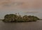 Cormorants and white ibises returning to a rookery