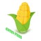 Corn allergen free icon, isometric style