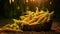 Corn on a basket in the field with mature corn cobs lying on the ground