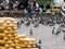 Corn being sold at San Francisco square in Cali to the people feed the pigeons while taking pictures
