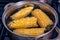 The corn is boiled in a saucepan. Cooking corn cobs