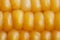 Corn close up