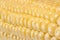 Corn closeup