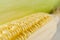 Corn closeup