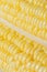 Corn closeup