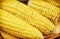 Corn on the cob, detail food photo