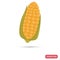 Corn cob for grill color flat icon for web and mobile design