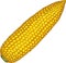 Corn Cob Without Leaves