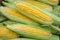 Corn on the cob on a market stall