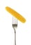Corn cob purified yellow on  impaled on a fork isolated on white background with clipping path