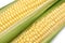 Corn cobs ob white closeup diagonal view