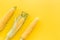 Corn on cobs on yellow background top view copyspace