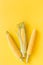 Corn on cobs on yellow background top view copyspace