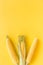 Corn on cobs on yellow background top view copyspace