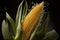 Corn, corn on the cob, ear of corn, food on dark black background, Generative AI
