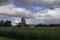 Corn Crop Beneath Summer Skies