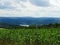 Corn crop high above Seneca Lake in hazy, hot summer