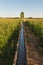 Corn Crop Irrigation