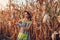 Corn crop. Young woman farmer checking and picking corn harvest. Worker holding autumn corncobs. Gardening