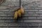 Corn drying in a narrow alley in a traditional Beijing Hutong in