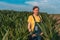 Corn farmer in field, portrait of agronomist woman