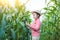 Corn farmers use communication technology to diagnose corn diseases with experts