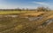 Corn field is affected by the drought dryness in winter