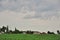 Corn field. Agriculture in Taman