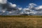 Corn field in autumn under running clouds