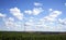 Corn field for biogas power plants in front of a wind energy park with a large power pole in the center, Germany