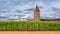 Corn field with a church tower on the background against a blue sky with clouds, Flanders, Belgium