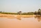 Corn field in dry season, Thailand