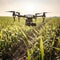 Corn field, harvesting. Generative AI. Drone, modern technology.