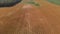 Corn field in late summer. Aerial farming landscape.